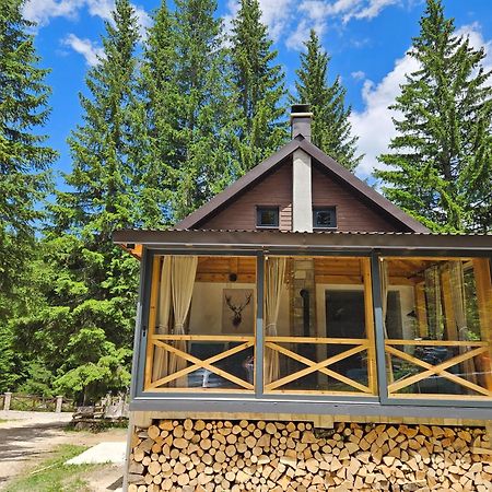 Black Lake Chalet Žabljak Buitenkant foto