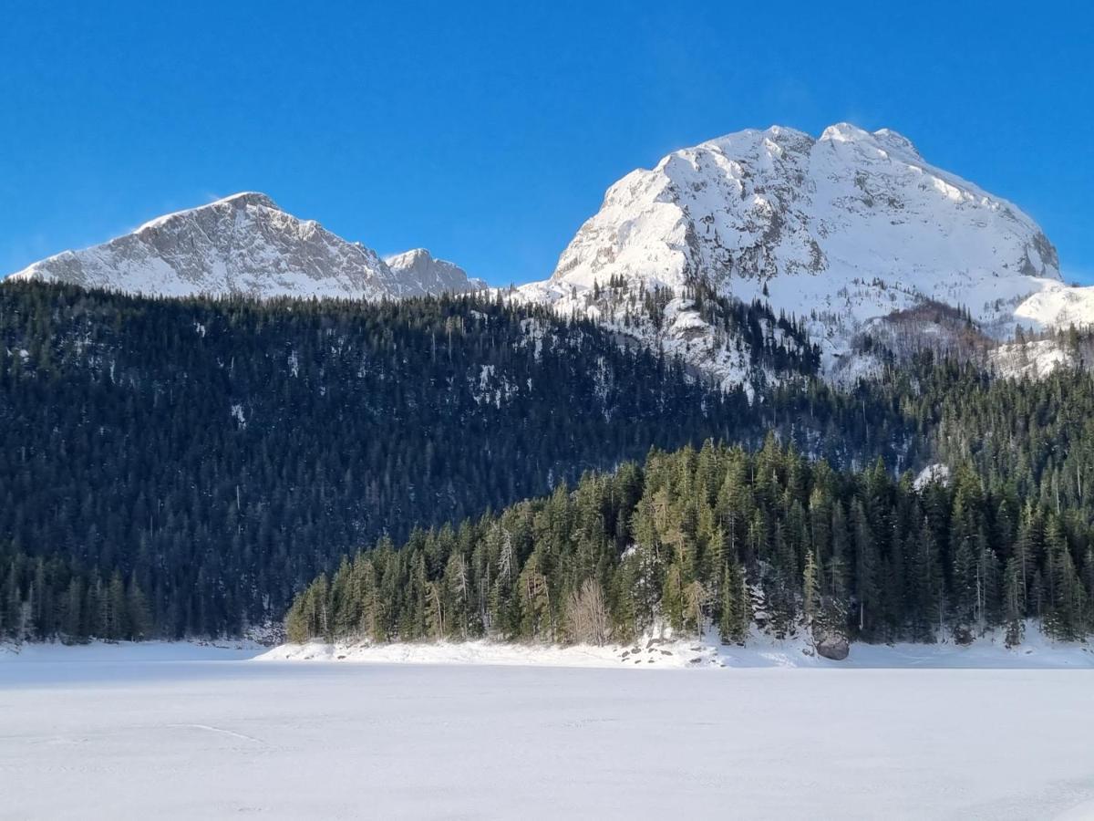 Black Lake Chalet Žabljak Buitenkant foto