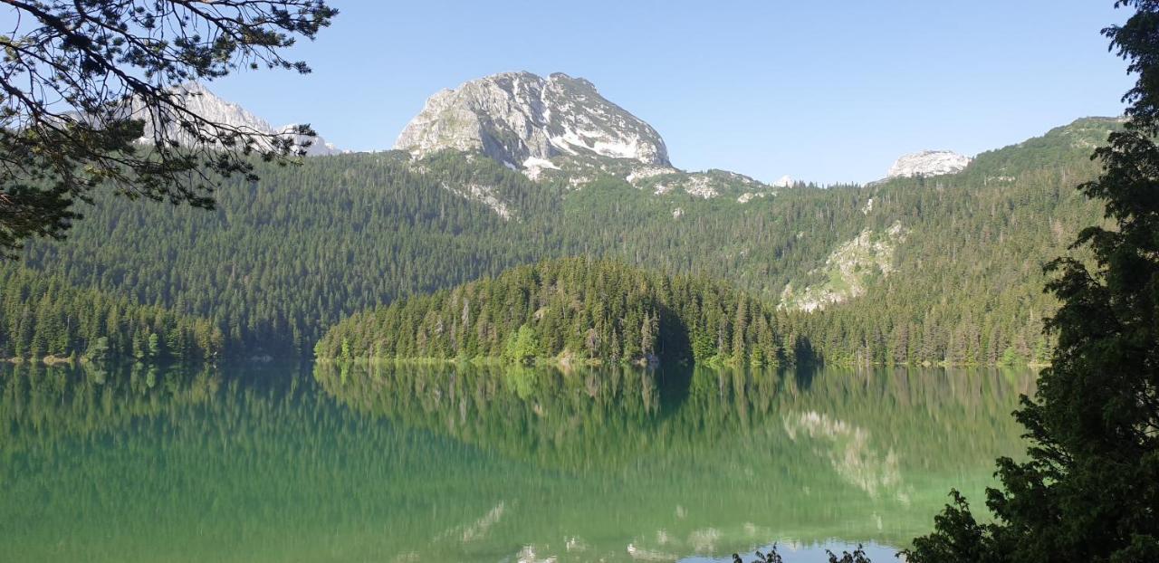 Black Lake Chalet Žabljak Buitenkant foto