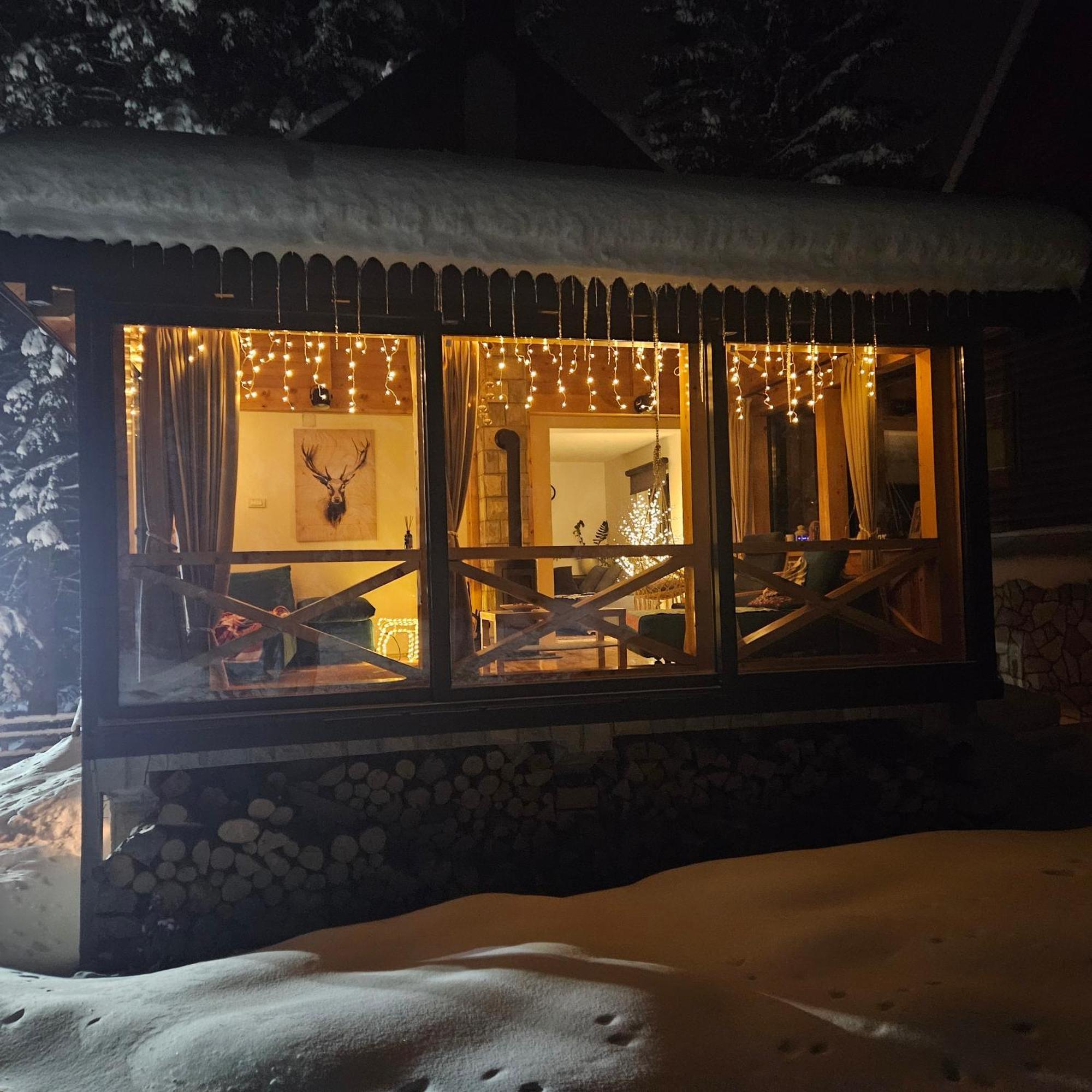 Black Lake Chalet Žabljak Buitenkant foto